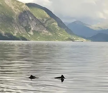 Tiny House With Fjordview! Lauvstad