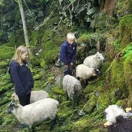 בית נופש Tiny House With Fjordview! *