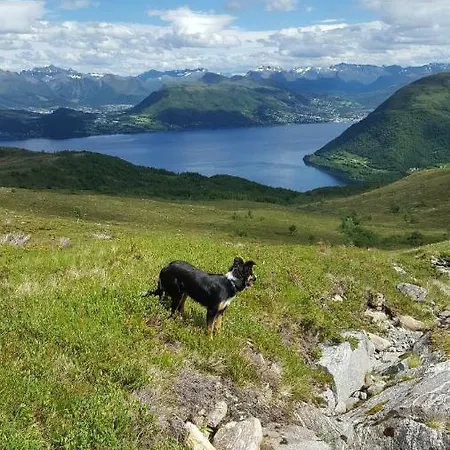Tiny House With Fjordview! * Lauvstad